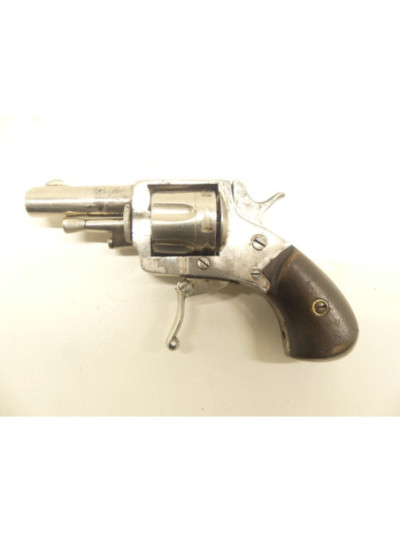 REVOLVER BRITISH BULLDOG PUPPY.