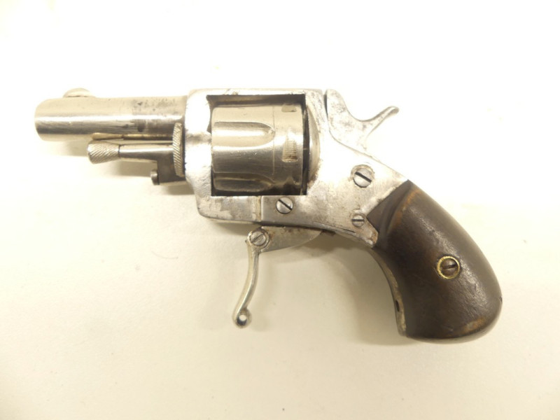 REVOLVER BRITISH BULLDOG PUPPY. REVOLVER BRITISH BULLDOG PUPPY.